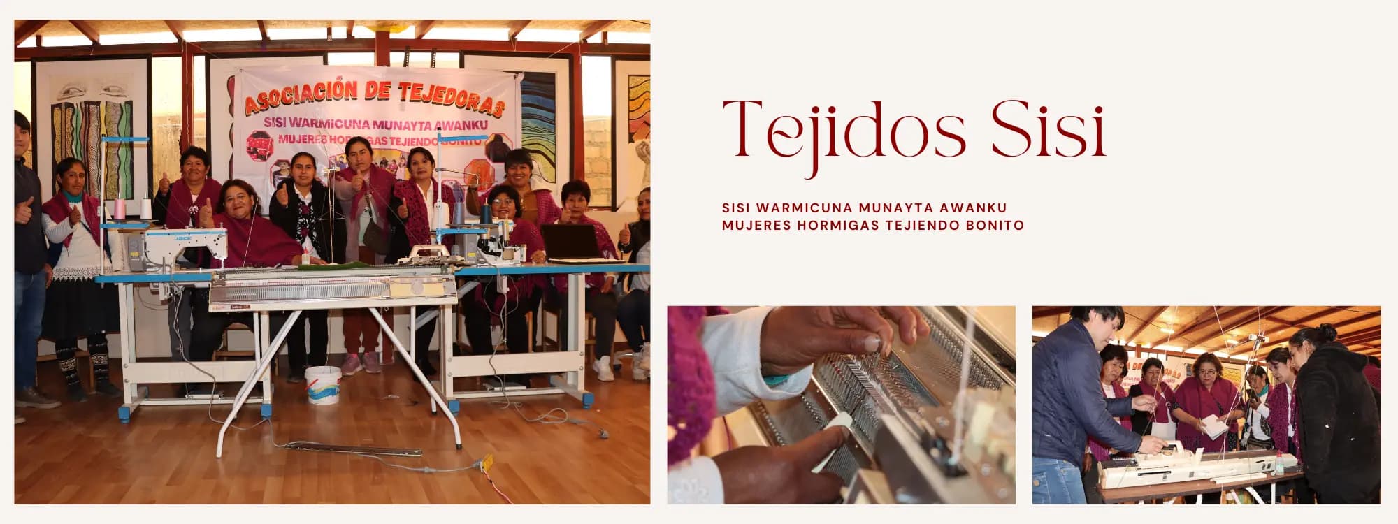 Asociación de Artesanas Textiles Sisi Warmikuna Munayta Awanku